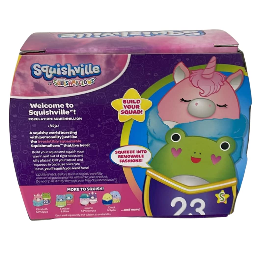 Amazon.com: Squishville by Squishmallow Character 2-Packs